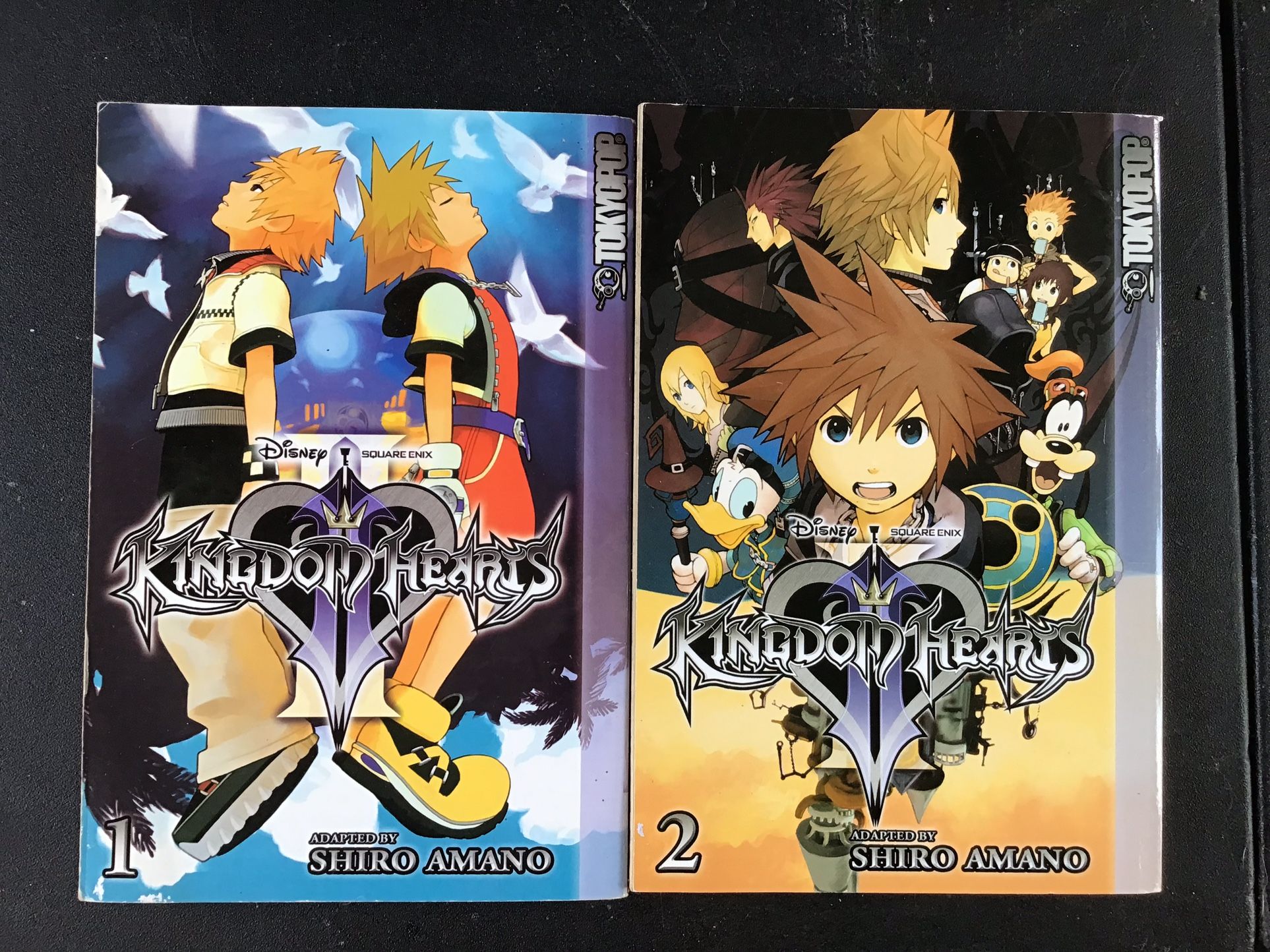 Kingdom Hearts