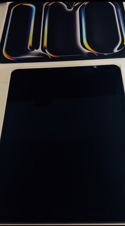 iPad Pro M4 13 inch cellular + WiFi 265GB