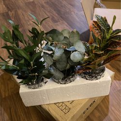 Set of three decorative artificial plants