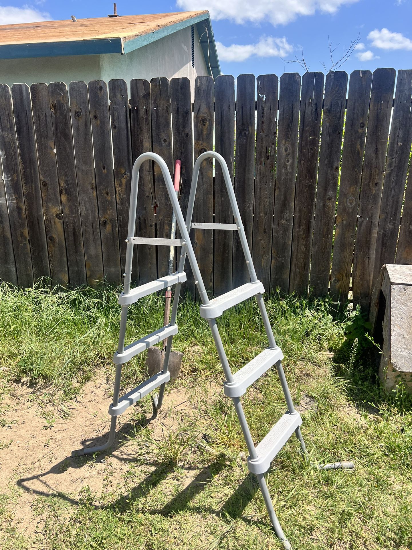 Swimming Pool Ladder