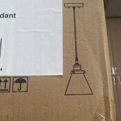 1-Light Pendant