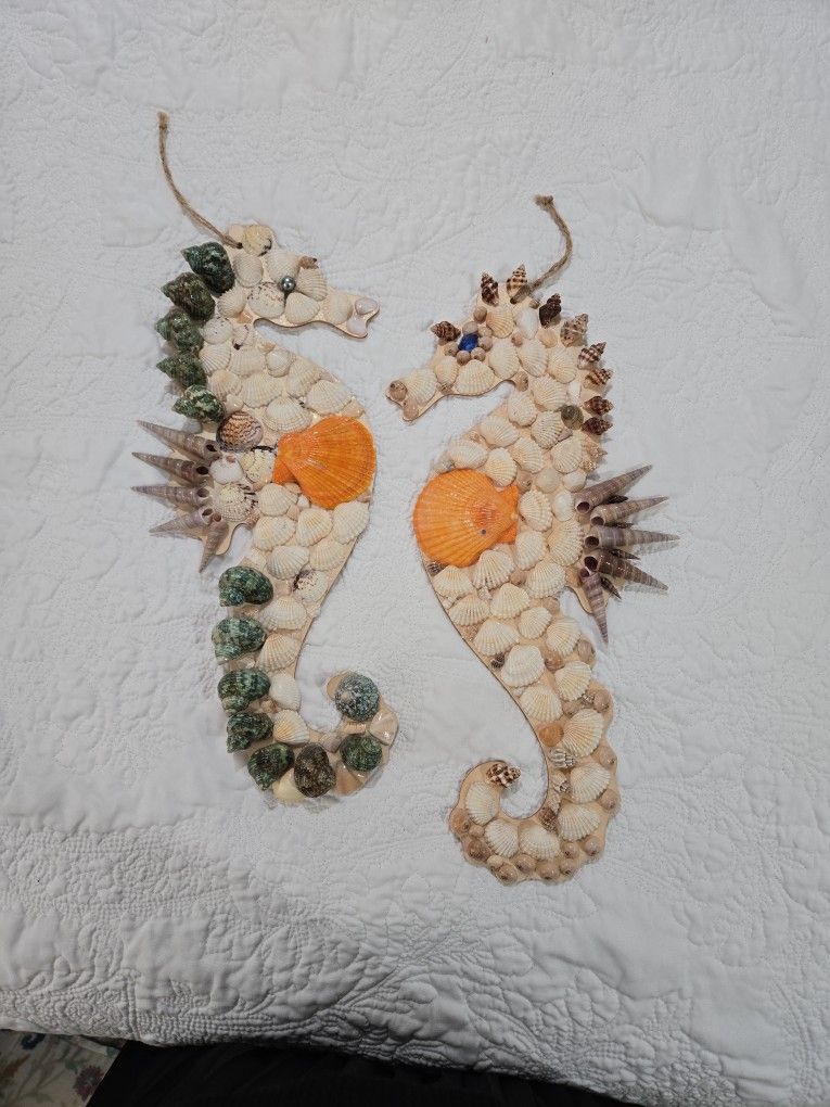 Caballitos De Mar