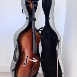 4/4 professional Cello