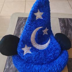 Disney Hat With Ears