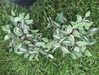 Leaves artificial arraingments