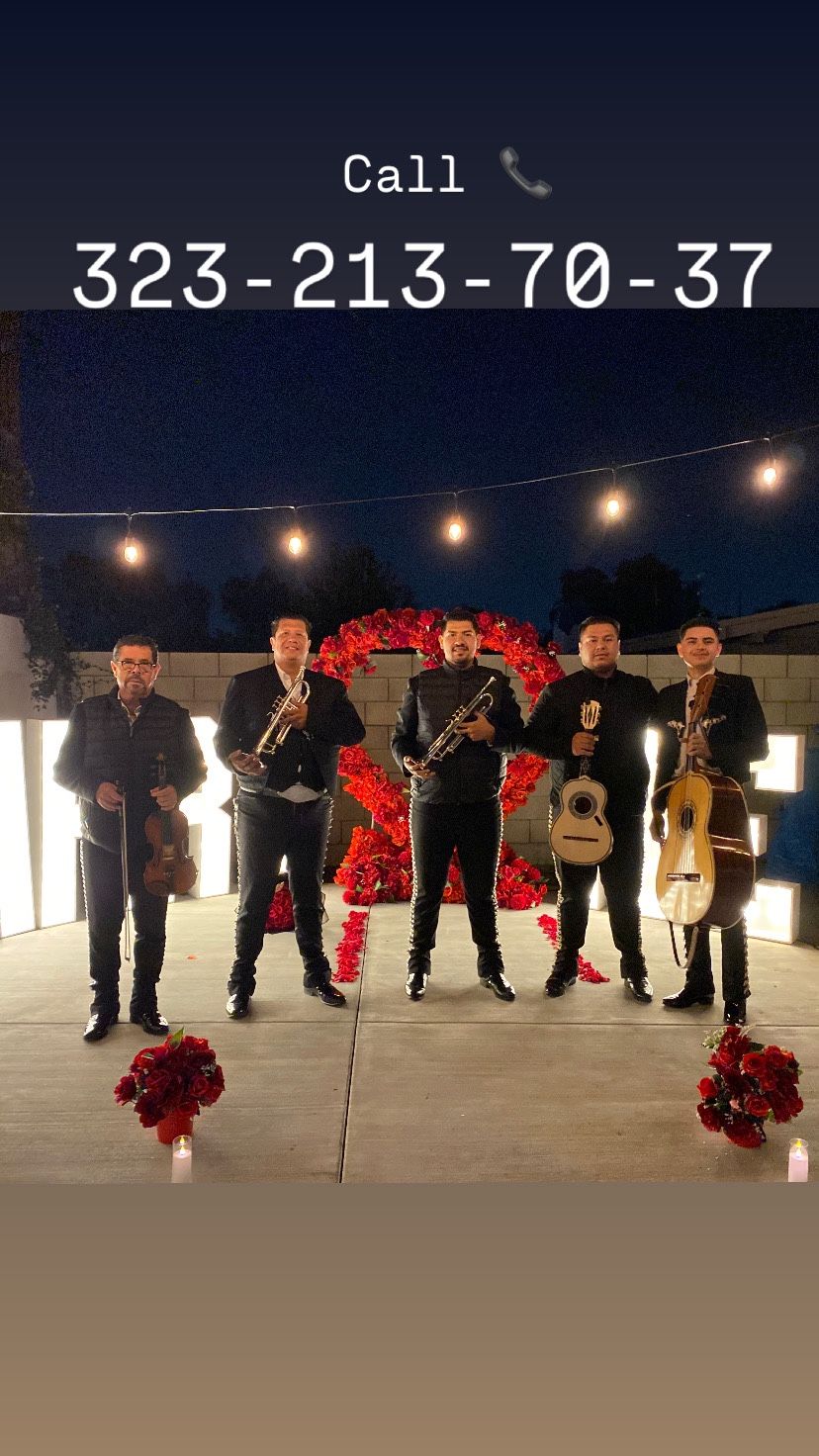 Trompetas Guitarras Violines Cuerdas