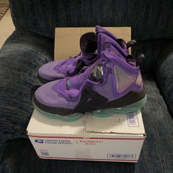 LeBron 19 Dj Bron Sz 11.5 Men’s 