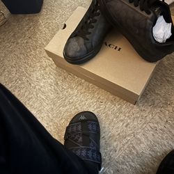 COACH High Line Sneaker🖤