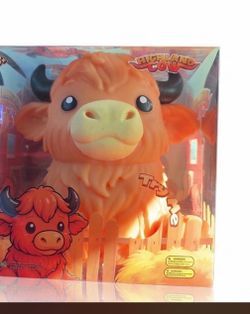Highland cow