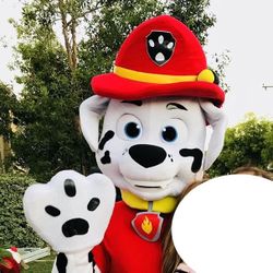 Paw Patrol Custom