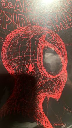 The Amazing Spider-Man Comic Book Variant Cover