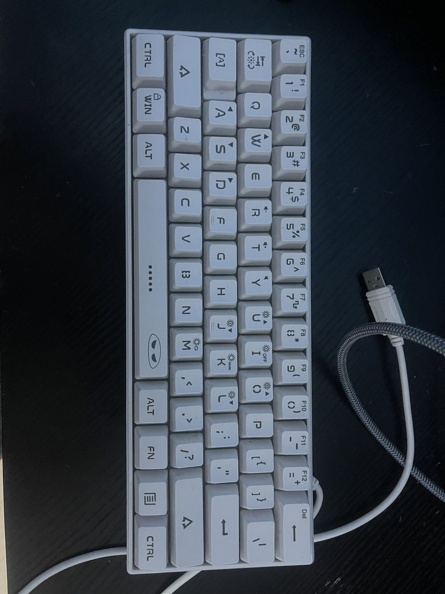 Membrane Keyboard and Asus Monitor