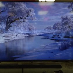 Vizio 65” Smart Tv 