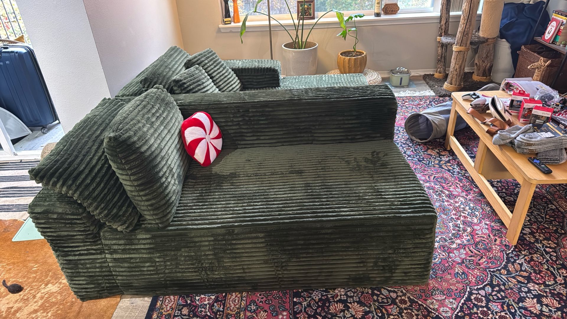 Amazon Couch