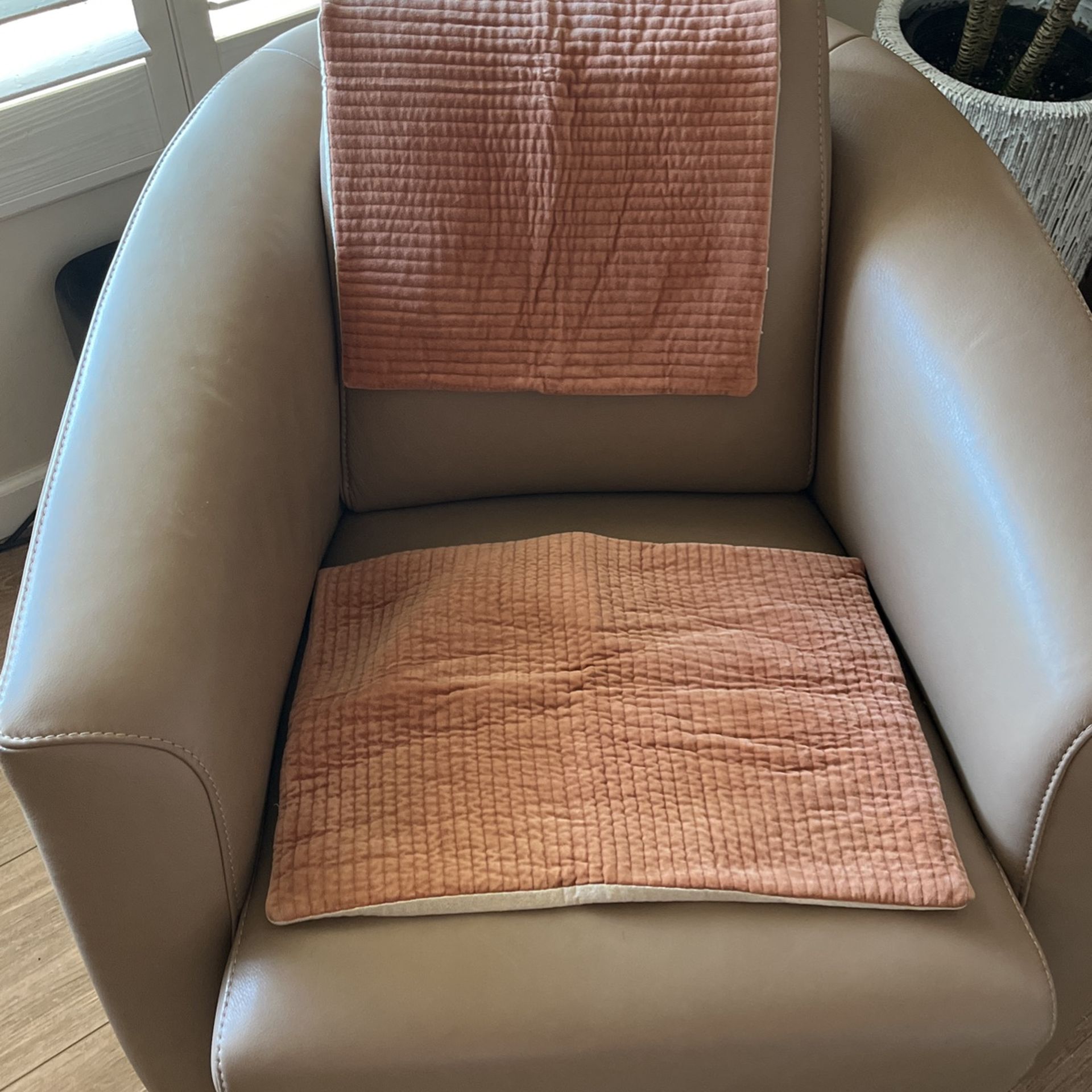 Pottery barn set of two lumbar pillows 14 x 20 for Sale in Phoenix, AZ