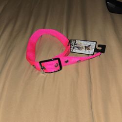 New Champion Dog Colar