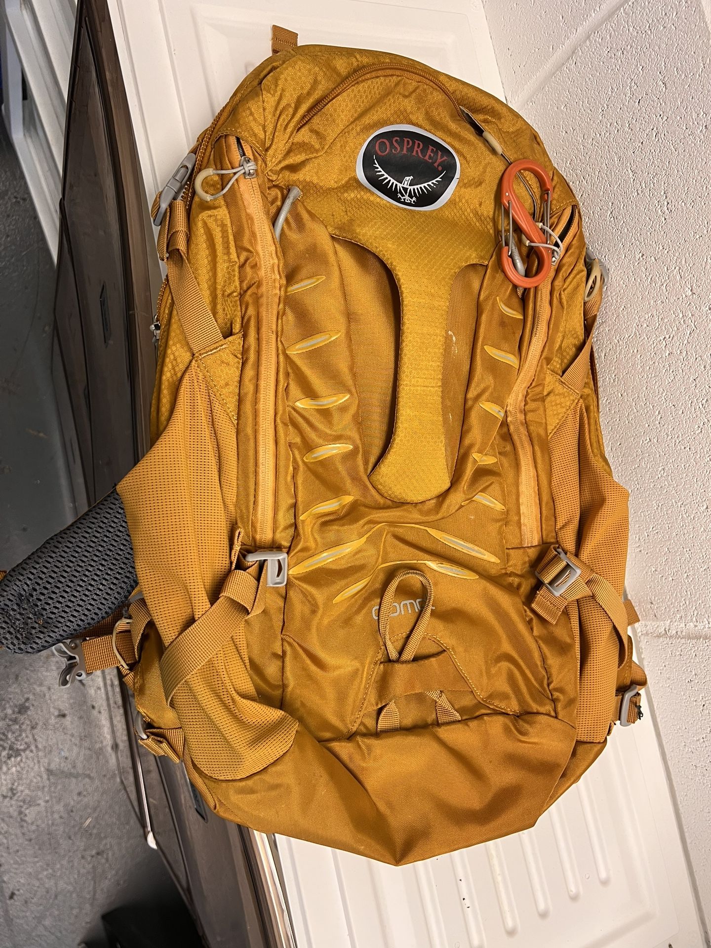 Osprey Comet Backpack