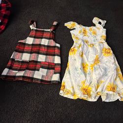 Dresses Plaid One Is 56 And The Flower One Is 67