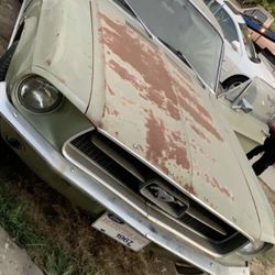 Mustang V8 1967  Clean Tittle 