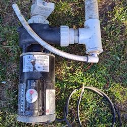 Pool / Spa Motor