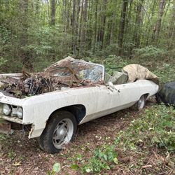 1975 Chevrolet Caprice