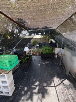 Chicken Coop