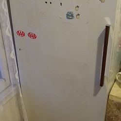 Hotpoint Top Freezer Fridge