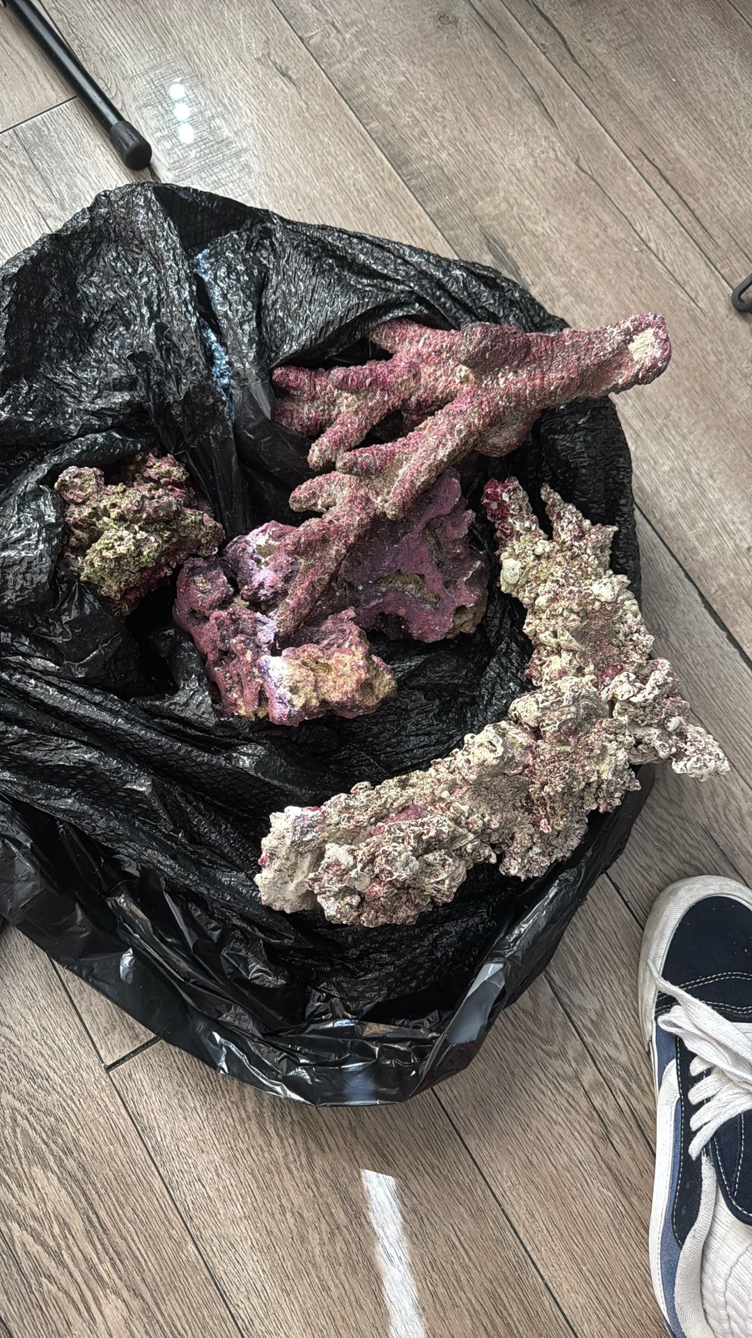 real reef rock and saltwater matenience items