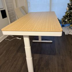 FLEXISPOT Q8 Electric Standing Desk!