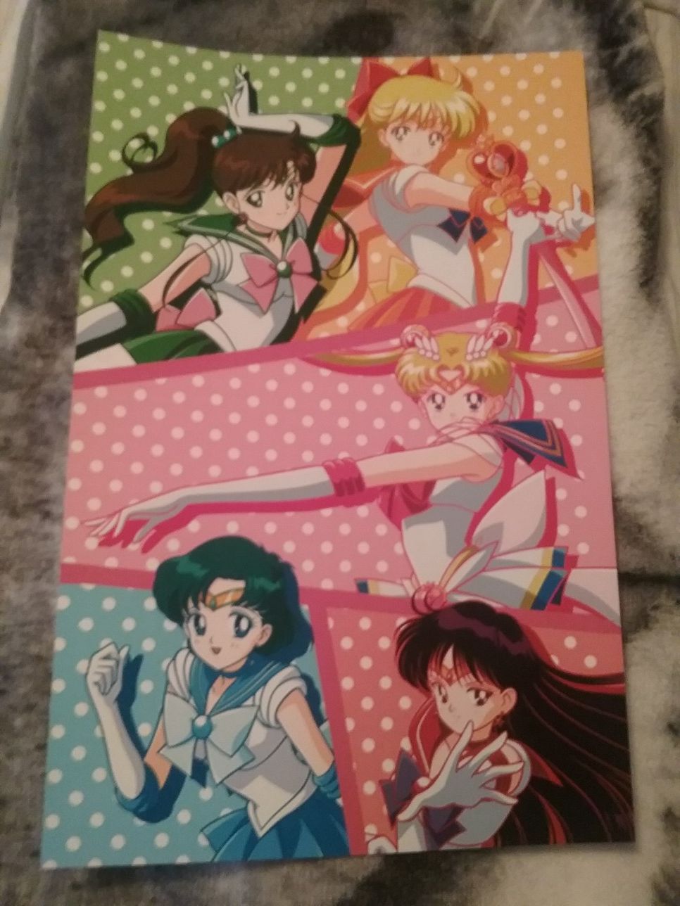 Sailor Moon Anime Poster 11x17