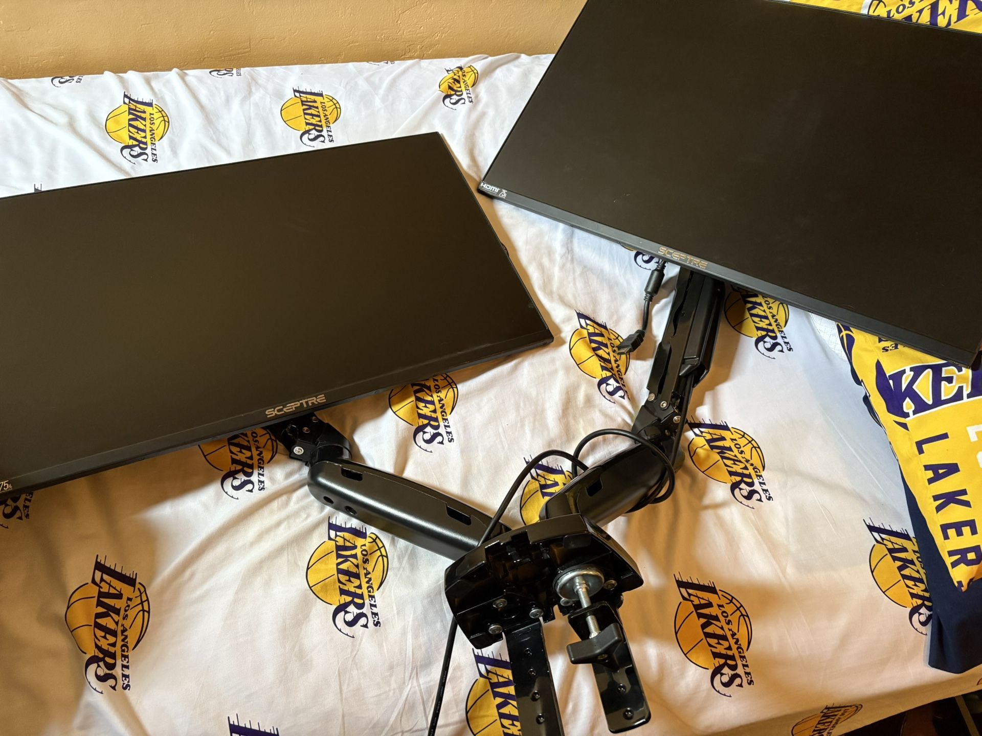2 Computer Monitors and dual Monitor arm