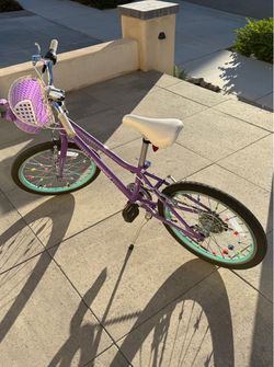 Guardian 20 Inch Large Bike