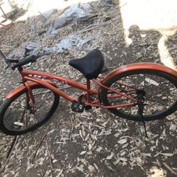 Beach Cruiser 