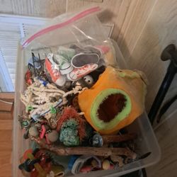 Bird's Supplies And Toys