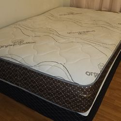 Full Size Mattress 