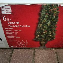  light Up Tree 