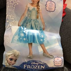 Frozen Elsa Costume