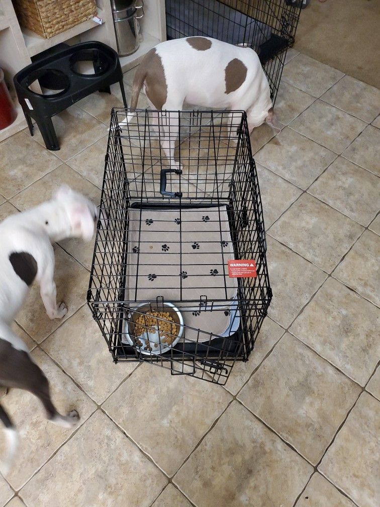 Large Dog Crate W/ Tray