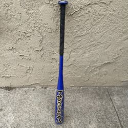 Blue Easton Magnum Baseball Bat ⚾️
