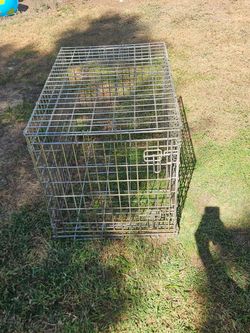 Folding Metal Wire Dog Crate