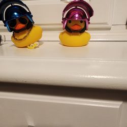 Motorcycle Ducks