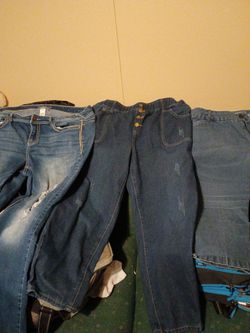Pants