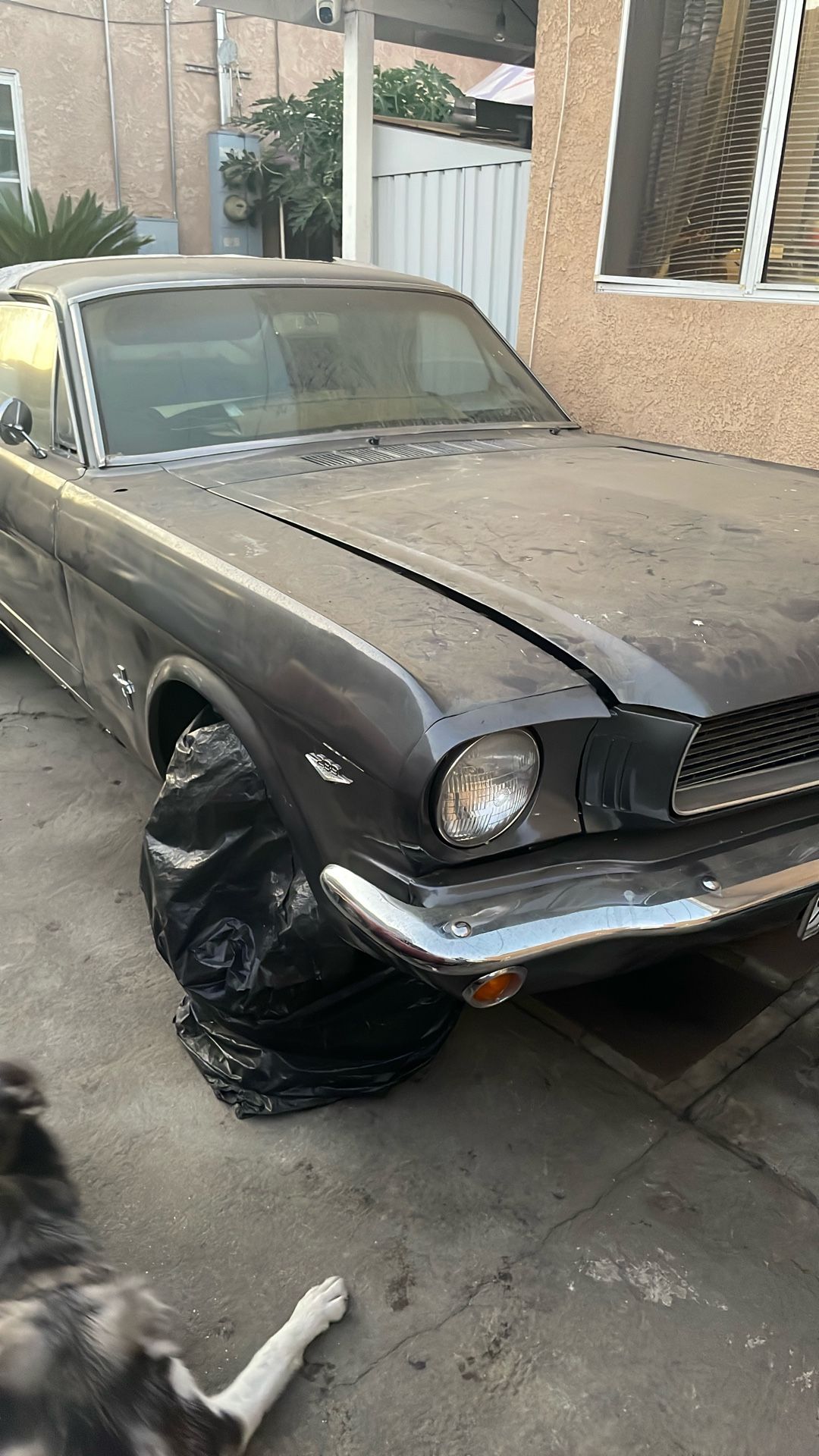 66 Mustang Parts