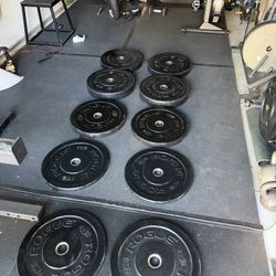 ROGUE HG Bumper blades 2.0