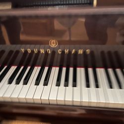 Young Chang Piano Baby grand 