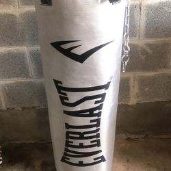 Everlast Elite Nevatear 70lb Heavy bag 