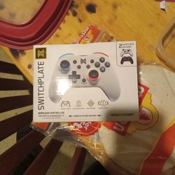 Now Nintendo Switch Plate Controler 