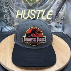 Jurassic Park Classic Logo curved snapback Grey Black