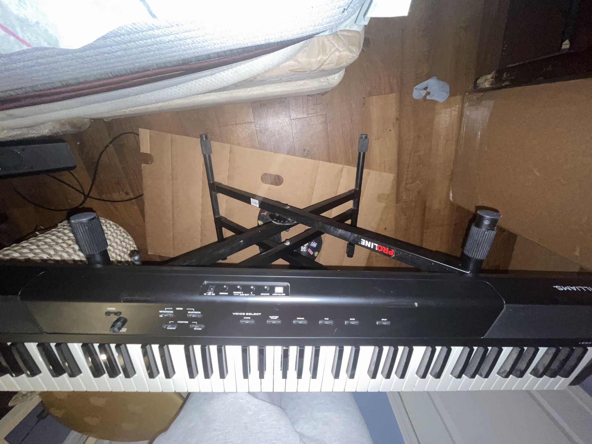 WILLIAMS LEGATO 3 and PROLINE DOUBLE BAR STAND
