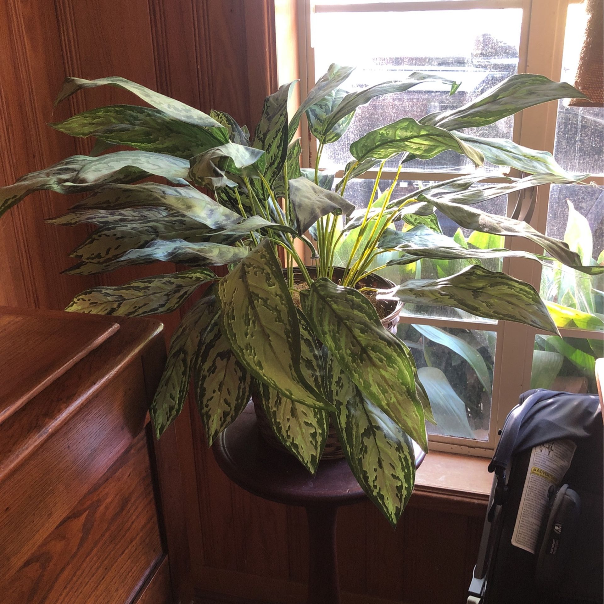 Fake House Plant